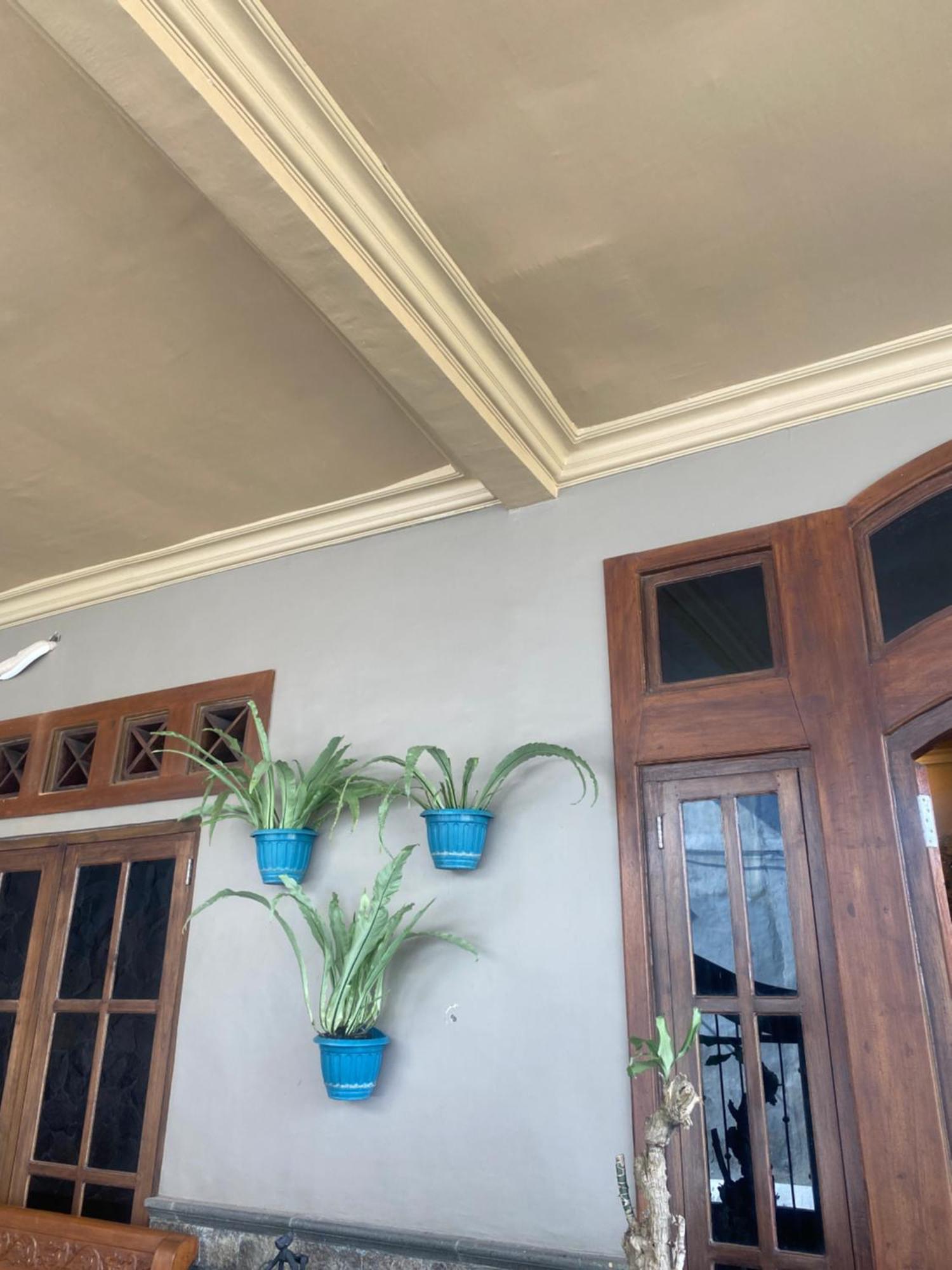 外南梦 Good Feeling Banyuwangi旅舍 外观 照片